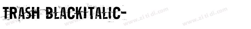 Trash BlackItalic字体转换